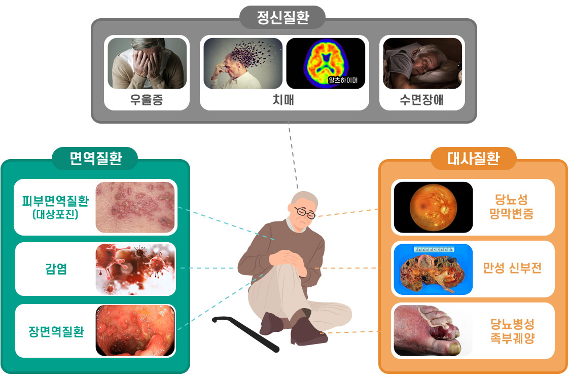 설명이미지